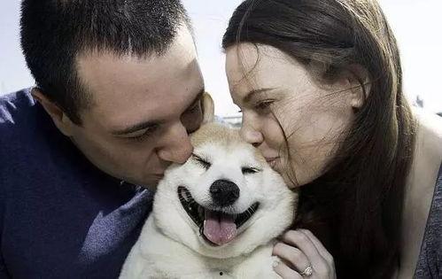 娱乐吃瓜酱最幸福的狗狗